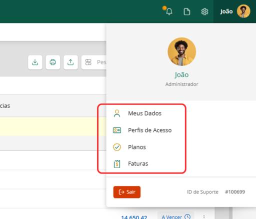 Acessando meus dados e perfis de acesso