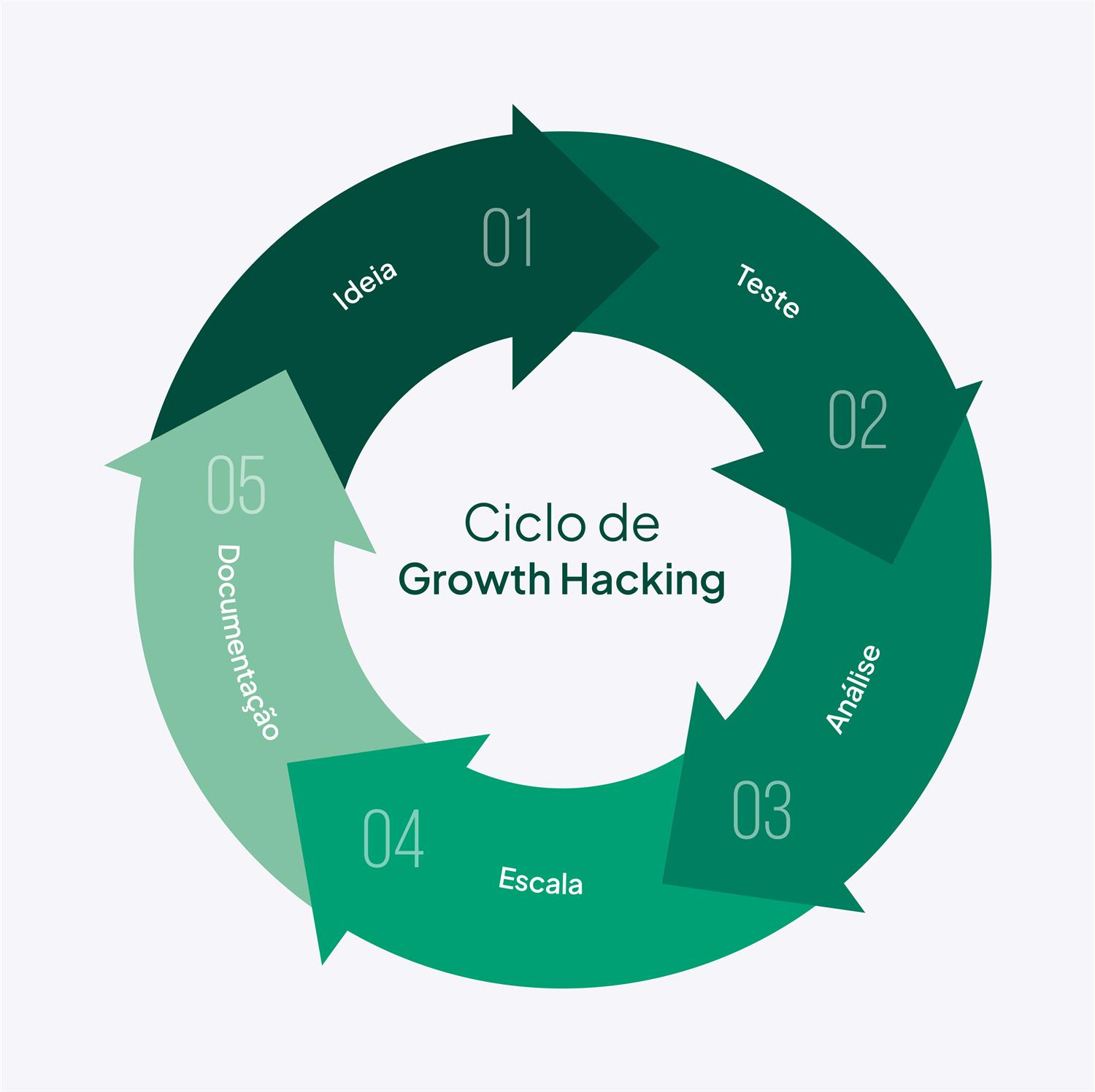 Ciclo Growth Hacking