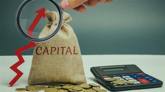 Capital de Giro para empresas: o que é e como gerenciar?