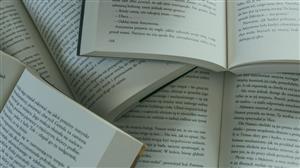 10 Livros que todo empreendedor deveria ler