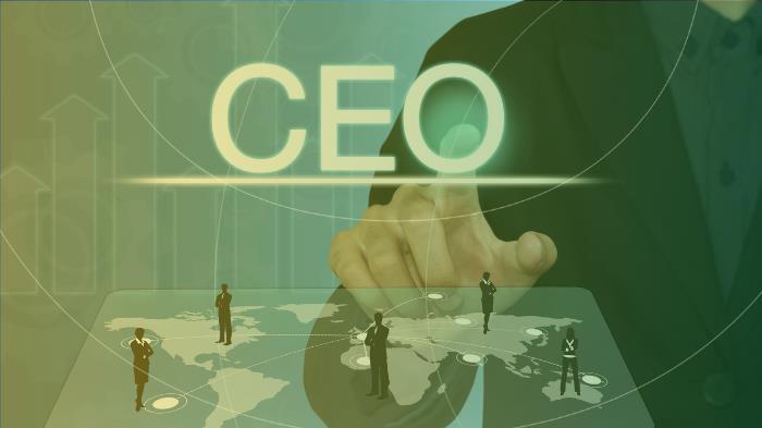 CEO: qual a função do principal executivo de uma empresa?